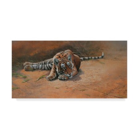 Trademark Fine Art Michael Jackson 'Tiger Cub Heat Of The Day' Canvas Art, 16x32 ALI43334-C1632GG